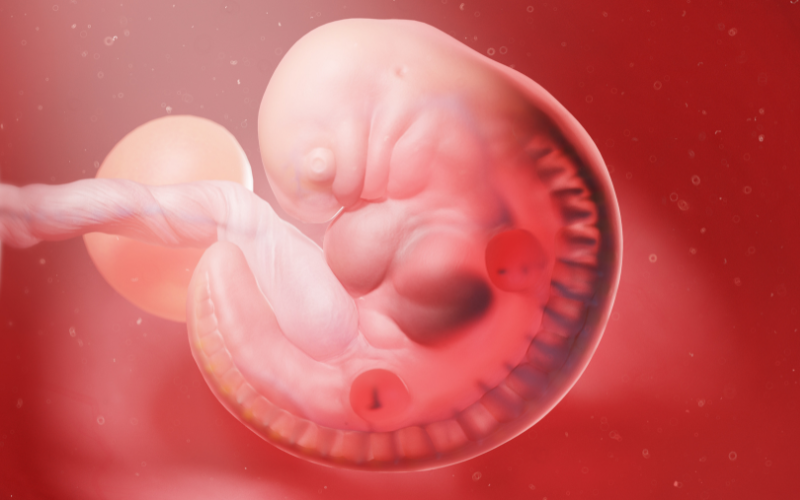 Infertility Assessment